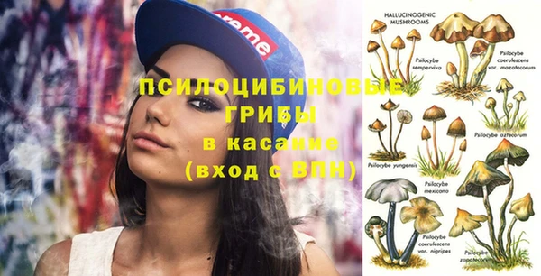 СК Алексеевка