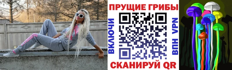 hydra Краснообск Псилоцибиновые грибы Psilocybe наркота